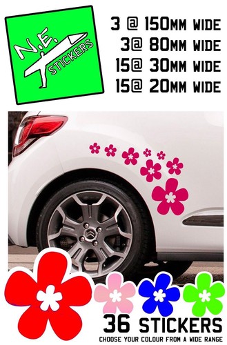 Red daisy vinyl - 36,